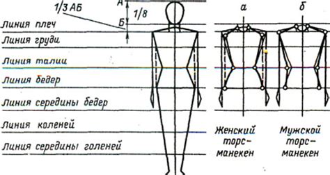 "Угрожающее прекрасное": особенности телосложения