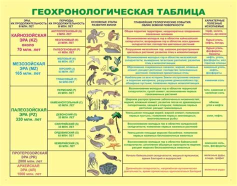 Аббревиатуры в нашей жизни: их происхождение и особенности