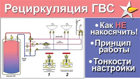 Абсорбция и рециркуляция: ключевые принципы работы системы