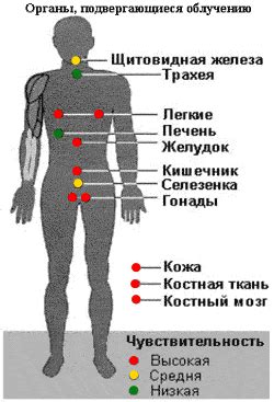 Автозагар: опасности, влияние на кожу и здоровье