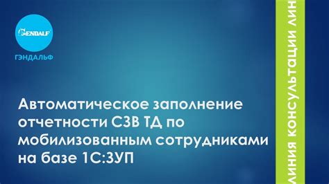 Автоматическое обновление СЗВ ТД