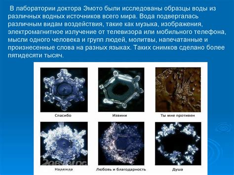 Агрессивное воздействие воды на структуру пуха