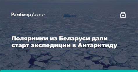 Адаптация и эволюция в антарктической среде