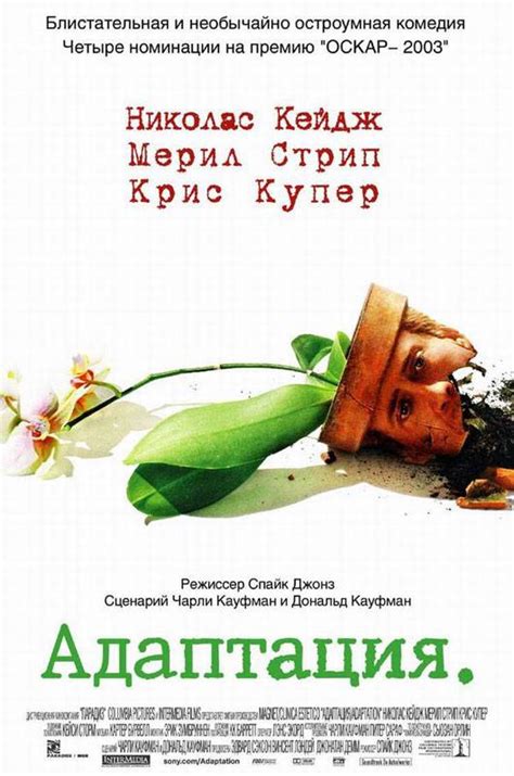 Адаптация книги в кино