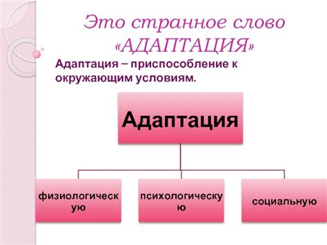 Адаптация к окружающим условиям