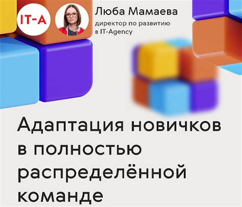 Адаптация новичков