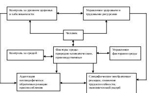 Адаптация организма к невесомости и ее последствия