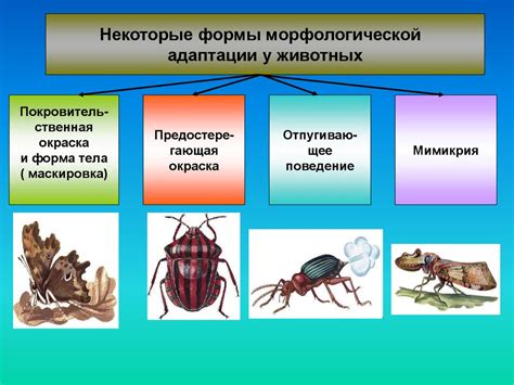 Адаптация организмов к условиям обитания