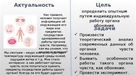 Адаптация органов чувств: почему мы не ощущаем свои внутренние органы?