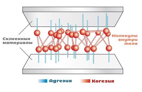 Адгезия и когезия