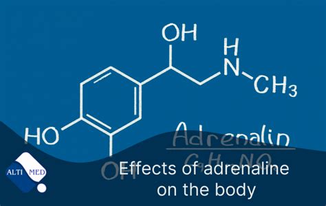 Адреналин и его роль в головокружении