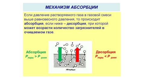 Адсорбция: молекулярный механизм и особенности