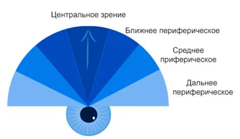 Активация периферического зрения