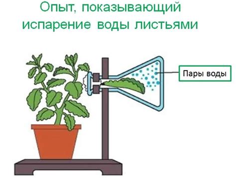 Активация процесса испарения воды