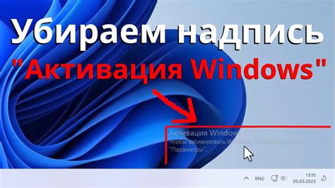 Активация функции Bawsaq на ПК (Windows)