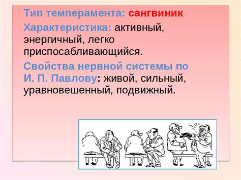 Активная и социальная натура сангвиника-холерика