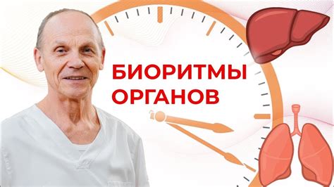 Активность органов