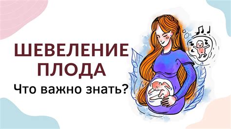 Активность плода