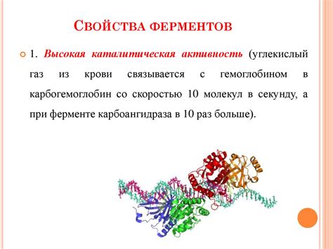 Активность ферментов синтеза крахмала