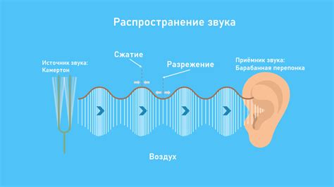 Акустические свойства клавиш