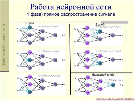 Алгоритм работы нейронной сети в нейронном хантере