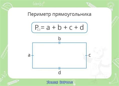 Алгоритм расчета периметра прямоугольника для 8 класса