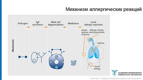 Аллергическая реакция и гиперчувствительность