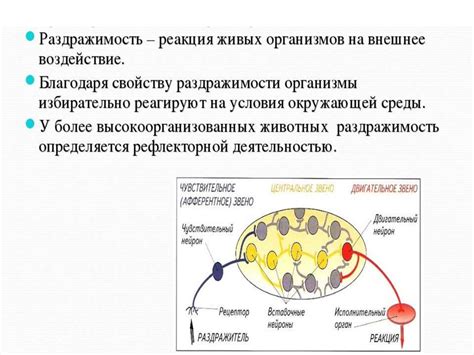 Аллергическая реакция на местные раздражители