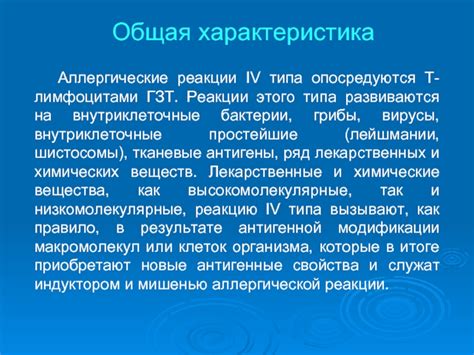 Аллергические реакции и грибы: основные причины запрета