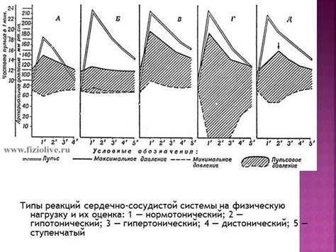 Аллергия на физическую нагрузку: проблема для спортсменов