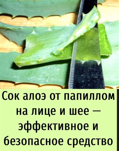 Алоэ: безопасное средство для облегчения дыхания и очищения носовых ходов!