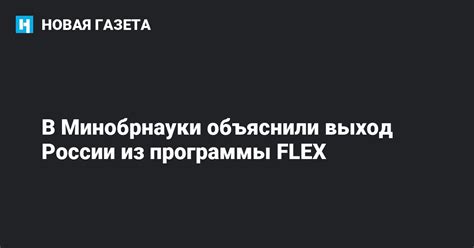 Альтернативные варианты для программы Flex в России