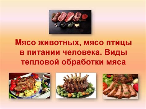 Альтернативные виды мяса в библейском питании