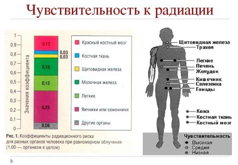 Альтернативные методы КТ для аллергиков на йод