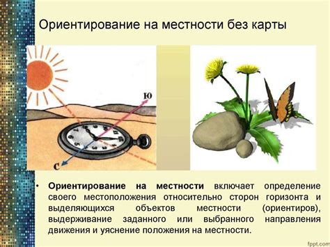 Альтернативные способы определения сторон света без компаса