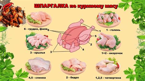 Альтернативы задушенному куриному мясу с хорьком