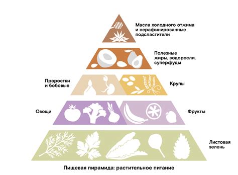 Альтернативы протеиновым коктейлям: растительные источники