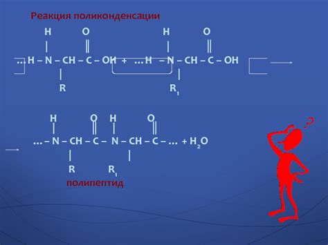 Аминокислоты и их нейтральная реакция среды: научное объяснение и примеры