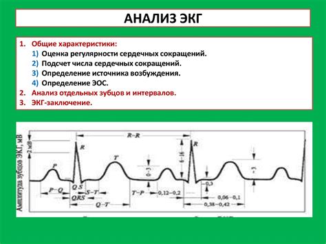 Анализ ЭКГ с помощью линейки