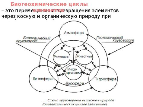 Анализ взаимосвязей и взаимодействий