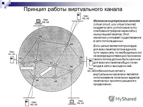 Анализ времени отклика и пути следования пакетов