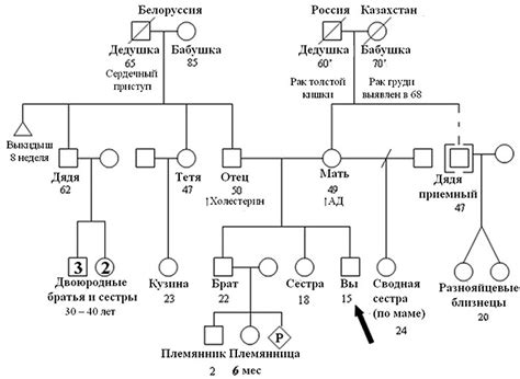 Анализ генеалогического дерева