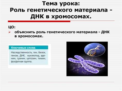 Анализ генетического материала: использование ДНК-тестирования