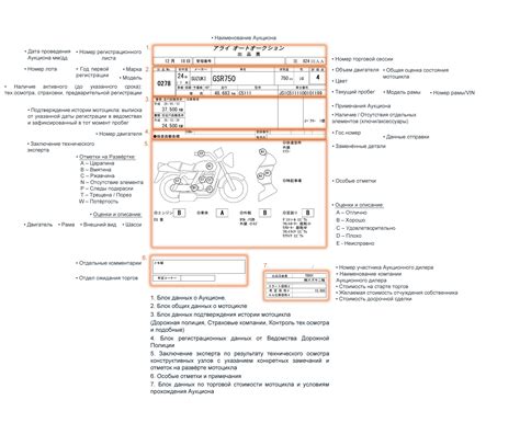 Анализ данных аукционного листа