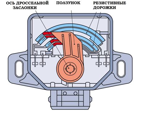 Анализ датчика положения дроссельной заслонки