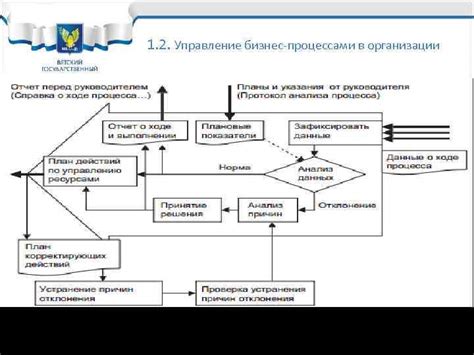 Анализ действий владельца бирюка