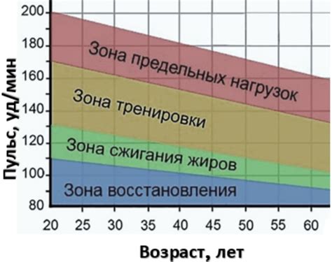 Анализ изменений пульса во время жары