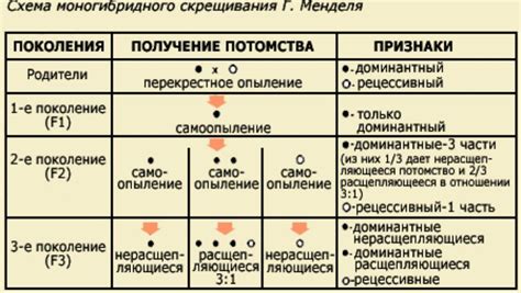 Анализ нарушений закона чистоты гамет