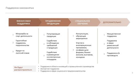 Анализ потенциальной деятельности самозанятого