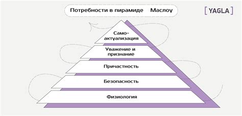 Анализ потребностей компании